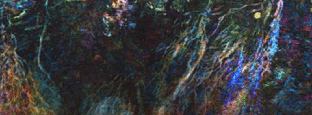 Eliis and Searcher Partner to Bring Fresh Insights to the Orange Basin.